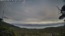 ./images/calvert/fitz-hugh-hecate/20250529/fitz-hugh-hecate20250529_203009M.jpg