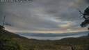 ./images/calvert/fitz-hugh-hecate/20250529/fitz-hugh-hecate20250529_205007M.jpg
