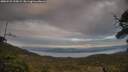 ./images/calvert/fitz-hugh-hecate/20250529/fitz-hugh-hecate20250529_210009M.jpg