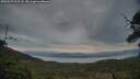 ./images/calvert/fitz-hugh-hecate/20250529/fitz-hugh-hecate20250529_212508M.jpg