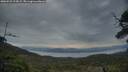./images/calvert/fitz-hugh-hecate/20250529/fitz-hugh-hecate20250529_213009M.jpg