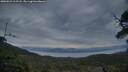 ./images/calvert/fitz-hugh-hecate/20250529/fitz-hugh-hecate20250529_213508M.jpg