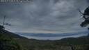 ./images/calvert/fitz-hugh-hecate/20250529/fitz-hugh-hecate20250529_214008M.jpg