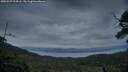 ./images/calvert/fitz-hugh-hecate/20250529/fitz-hugh-hecate20250529_214506M.jpg