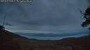 ./images/calvert/fitz-hugh-hecate/20250529/fitz-hugh-hecate20250529_221008M.jpg