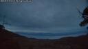 ./images/calvert/fitz-hugh-hecate/20250529/fitz-hugh-hecate20250529_221505M.jpg