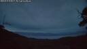 ./images/calvert/fitz-hugh-hecate/20250529/fitz-hugh-hecate20250529_222006M.jpg