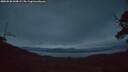 ./images/calvert/fitz-hugh-hecate/20250530/fitz-hugh-hecate20250530_044009M.jpg