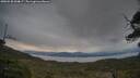 ./images/calvert/fitz-hugh-hecate/20250530/fitz-hugh-hecate20250530_054008M.jpg