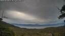 ./images/calvert/fitz-hugh-hecate/20250530/fitz-hugh-hecate20250530_055008M.jpg