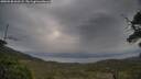 ./images/calvert/fitz-hugh-hecate/20250530/fitz-hugh-hecate20250530_060508M.jpg