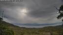 ./images/calvert/fitz-hugh-hecate/20250530/fitz-hugh-hecate20250530_061010M.jpg