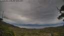 ./images/calvert/fitz-hugh-hecate/20250530/fitz-hugh-hecate20250530_064010M.jpg