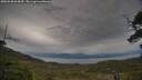 ./images/calvert/fitz-hugh-hecate/20250530/fitz-hugh-hecate20250530_064510M.jpg
