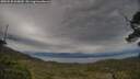 ./images/calvert/fitz-hugh-hecate/20250530/fitz-hugh-hecate20250530_065010M.jpg
