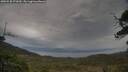 ./images/calvert/fitz-hugh-hecate/20250530/fitz-hugh-hecate20250530_072009M.jpg