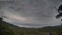 ./images/calvert/fitz-hugh-hecate/20250530/fitz-hugh-hecate20250530_072510M.jpg