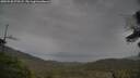 ./images/calvert/fitz-hugh-hecate/20250530/fitz-hugh-hecate20250530_073507M.jpg