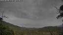 ./images/calvert/fitz-hugh-hecate/20250530/fitz-hugh-hecate20250530_074509M.jpg