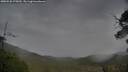 ./images/calvert/fitz-hugh-hecate/20250530/fitz-hugh-hecate20250530_075009M.jpg