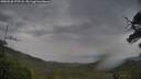 ./images/calvert/fitz-hugh-hecate/20250530/fitz-hugh-hecate20250530_075508M.jpg