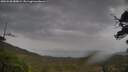 ./images/calvert/fitz-hugh-hecate/20250530/fitz-hugh-hecate20250530_080009M.jpg