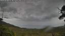 ./images/calvert/fitz-hugh-hecate/20250530/fitz-hugh-hecate20250530_080509M.jpg