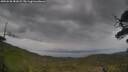 ./images/calvert/fitz-hugh-hecate/20250530/fitz-hugh-hecate20250530_081009M.jpg