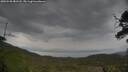 ./images/calvert/fitz-hugh-hecate/20250530/fitz-hugh-hecate20250530_081508M.jpg