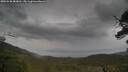 ./images/calvert/fitz-hugh-hecate/20250530/fitz-hugh-hecate20250530_083010M.jpg
