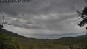 ./images/calvert/fitz-hugh-hecate/20250530/fitz-hugh-hecate20250530_084010M.jpg