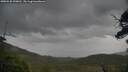 ./images/calvert/fitz-hugh-hecate/20250530/fitz-hugh-hecate20250530_090010M.jpg