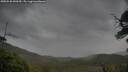 ./images/calvert/fitz-hugh-hecate/20250530/fitz-hugh-hecate20250530_090509M.jpg