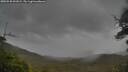 ./images/calvert/fitz-hugh-hecate/20250530/fitz-hugh-hecate20250530_091009M.jpg