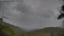./images/calvert/fitz-hugh-hecate/20250530/fitz-hugh-hecate20250530_091510M.jpg