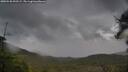 ./images/calvert/fitz-hugh-hecate/20250530/fitz-hugh-hecate20250530_092508M.jpg