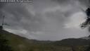 ./images/calvert/fitz-hugh-hecate/20250530/fitz-hugh-hecate20250530_094009M.jpg