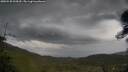./images/calvert/fitz-hugh-hecate/20250530/fitz-hugh-hecate20250530_094510M.jpg
