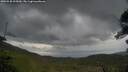 ./images/calvert/fitz-hugh-hecate/20250530/fitz-hugh-hecate20250530_095010M.jpg