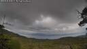 ./images/calvert/fitz-hugh-hecate/20250530/fitz-hugh-hecate20250530_100509M.jpg