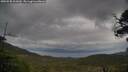 ./images/calvert/fitz-hugh-hecate/20250530/fitz-hugh-hecate20250530_101010M.jpg