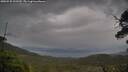 ./images/calvert/fitz-hugh-hecate/20250530/fitz-hugh-hecate20250530_101510M.jpg
