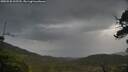 ./images/calvert/fitz-hugh-hecate/20250530/fitz-hugh-hecate20250530_102510M.jpg