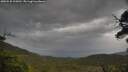 ./images/calvert/fitz-hugh-hecate/20250530/fitz-hugh-hecate20250530_105010M.jpg