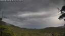./images/calvert/fitz-hugh-hecate/20250530/fitz-hugh-hecate20250530_105510M.jpg