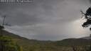 ./images/calvert/fitz-hugh-hecate/20250530/fitz-hugh-hecate20250530_110011M.jpg