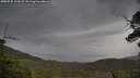 ./images/calvert/fitz-hugh-hecate/20250530/fitz-hugh-hecate20250530_110509M.jpg