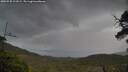 ./images/calvert/fitz-hugh-hecate/20250530/fitz-hugh-hecate20250530_111009M.jpg