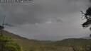 ./images/calvert/fitz-hugh-hecate/20250530/fitz-hugh-hecate20250530_111510M.jpg