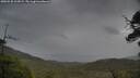 ./images/calvert/fitz-hugh-hecate/20250530/fitz-hugh-hecate20250530_112009M.jpg